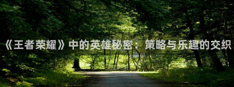 鼎点娱乐注册开户：《王者荣耀》中的英雄秘密：策略与乐趣的交织