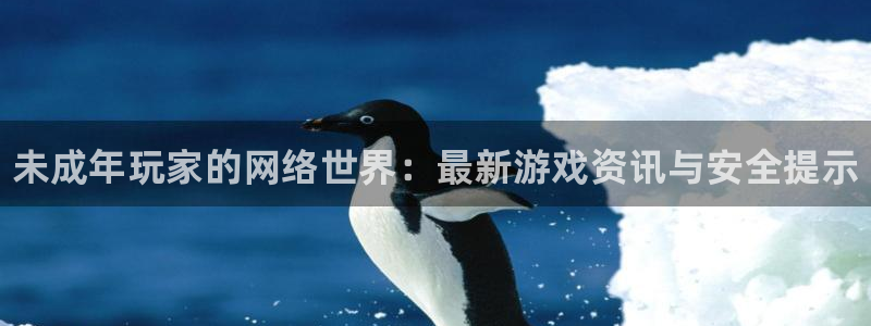 鼎点娱乐测速：未成年玩家的网络世界：最新游戏资讯与安全提示