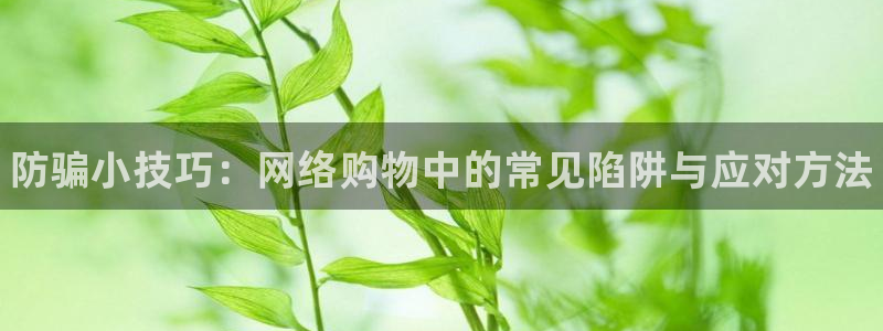 鼎点娱乐app：防骗小技巧：网络购物中的常见陷阱与应对方法