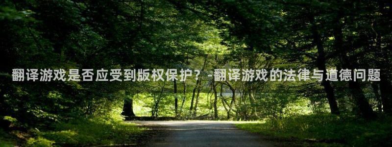 鼎点娱乐注册服务条款：翻译游戏是否应受到版权保护？-翻译游戏