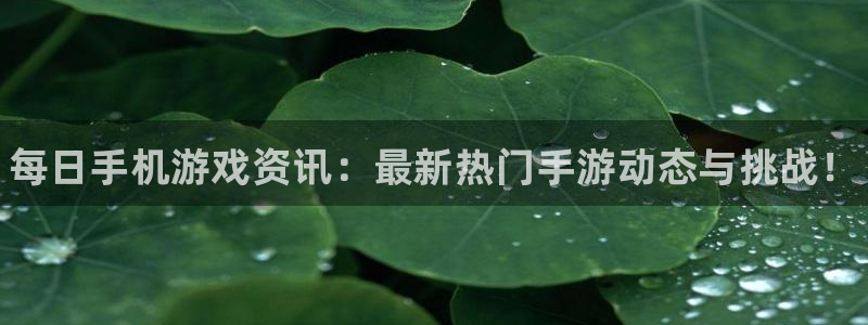 鼎点娱乐官方平台：每日手机游戏资讯：最新热门手游动态与挑战！