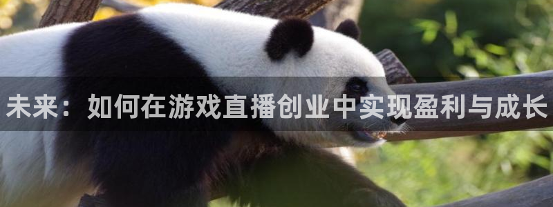 沐春鼎点娱乐：未来：如何在游戏直播创业中实现盈利与成长