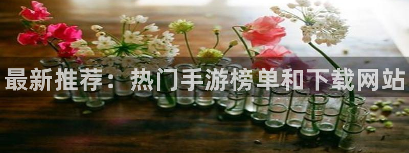 鼎点娱乐代理登陆