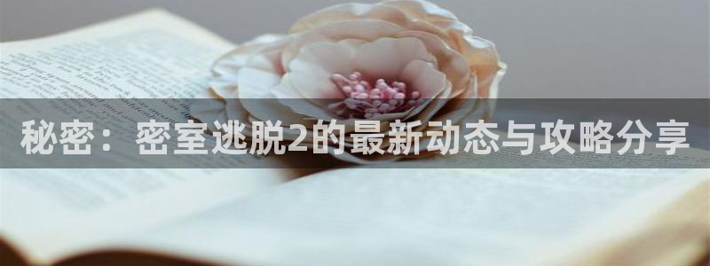 鼎点娱乐登陆：秘密：密室逃脱2的最新动态与攻略分享