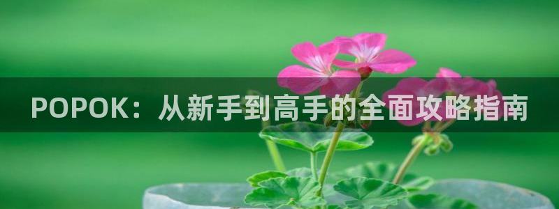 沐春鼎点娱乐：POPOK：从新手到高手的全面攻略指南