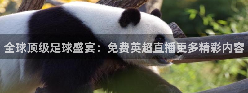 so米体育在线观看：全球顶级足球盛宴：免费英超直播更多精彩内容
