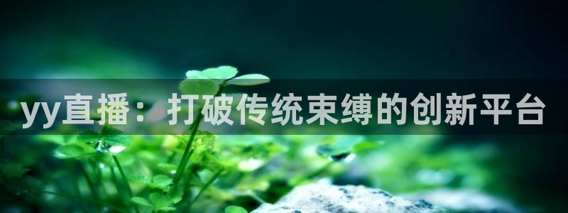 so米体育比赛视频直播：yy直播：打破传统束缚的创新平台